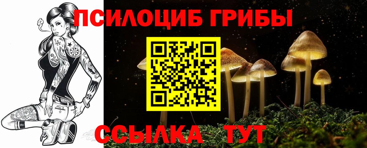 Галлюциногенные грибы Psilocybine cubensis  Вход с VPN  Рыбинск  Галлюциногенные грибы Cubensis 